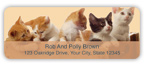 Precious Kittens Address Labels