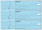 Blue Safety Accounts Payable Checks