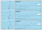 Blue Safety Accounts Payable Checks