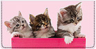 Precious Kittens Checkbook Cover