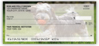 Havanese Checks